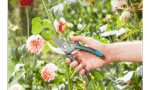 SECATEUR GARDENA B/S 8854 – Image 2