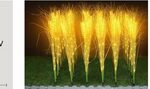 LED FLOWER DECOR 220V 3000K 80CM 15PC RD.FLW1