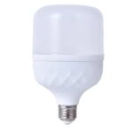 LAMPE LED T-50W B22 6500K