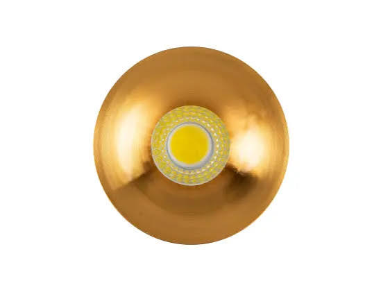 117419 NICHE 1W ROND 3000K GD /L101 – Image 1