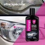 RENOVENT DE PHARE/SP-HL-F097 FLAMINGO