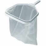 EPUISETTE FOND AVIS PAPILLONS