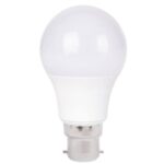 LAMPE STD DC12/24 A60 12W B22 6500K