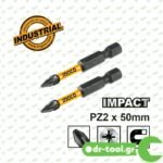 JEU DE 2 EMBOUTS PZ 2*50MM SDBIM71PZ250